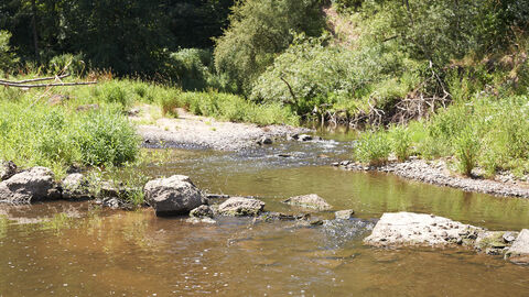 Renaturierung Fluss mit Steinen. Im Hintergrund stehen mehrere Bäume